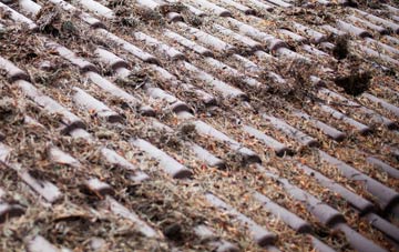 Shraleybrook roof cleaning companies