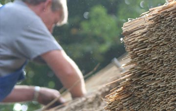 professional Shraleybrook thatchers