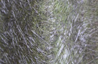 Shraleybrook fibreglass roof work